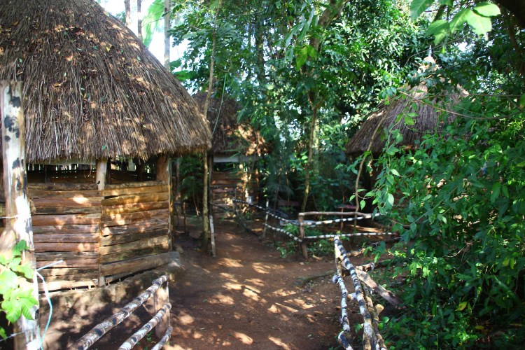 Eco Village at GAASPP, Webyue